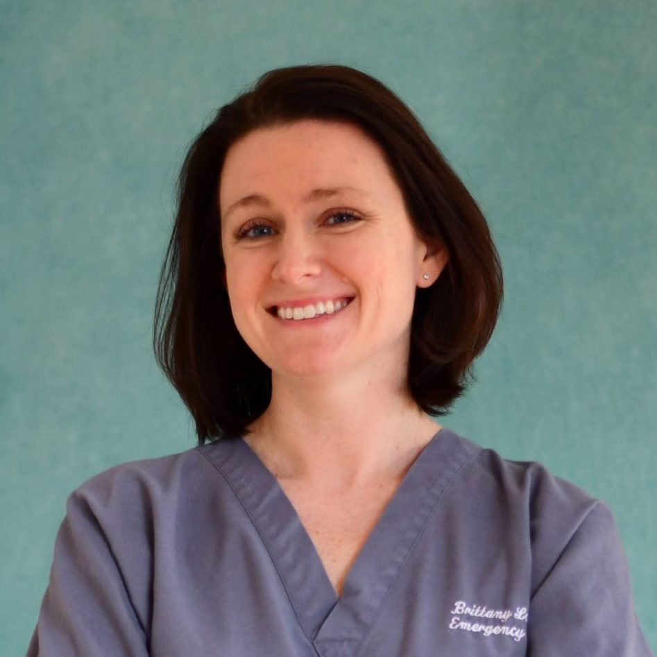 Hospice Medical Director Hospice Medical Director